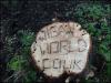 wiganworld tree stump