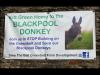 Home of the Blackpool Donkey