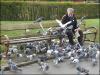 Wigan Pigeon Man