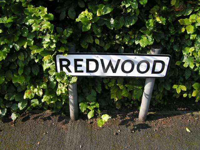 Redwood, Shevington