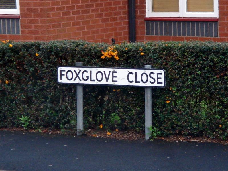 Foxglove Close, Standish