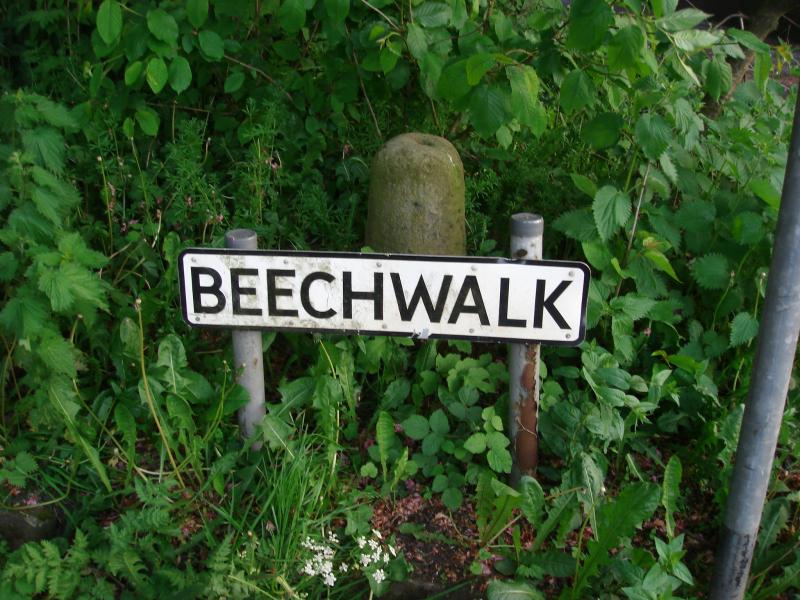 Beech Walks, Standish